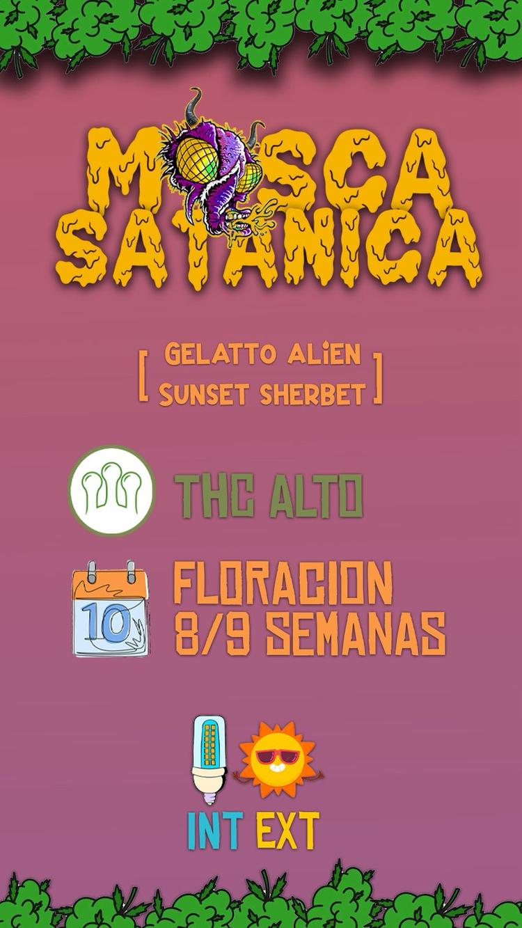 Mosca Satánica