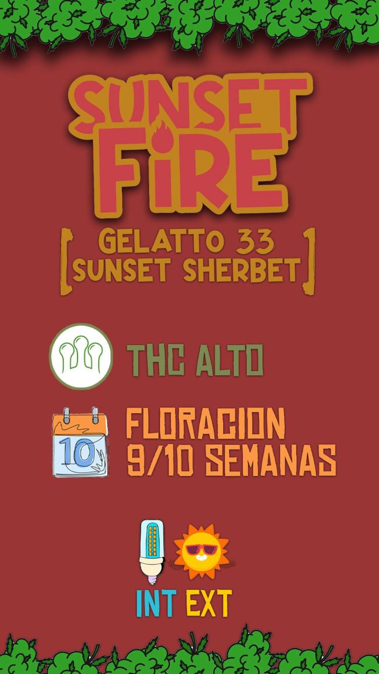 Sunset Fire