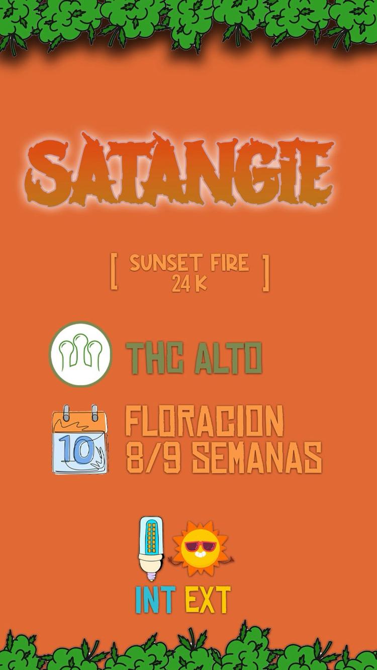 Satangie